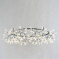 Load image into Gallery viewer, Heracleum Round Chandelier