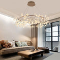 Load image into Gallery viewer, Heracleum Round Chandelier
