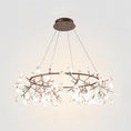 Load image into Gallery viewer, Heracleum Round Chandelier