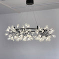 Load image into Gallery viewer, Heracleum Round Chandelier