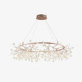 Load image into Gallery viewer, Heracleum Round Chandelier