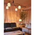 Bild in Galerie-Betrachter laden, Howard Chandelier