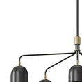 Bild in Galerie-Betrachter laden, Howard Chandelier