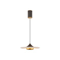 Load image into Gallery viewer, Ipno LED Pendant Light