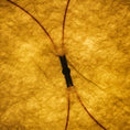 Load image into Gallery viewer, DuPont Paper Plug-in Wall Light
