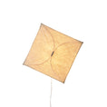 Load image into Gallery viewer, Kite Plug-in Wall Light