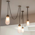 Charger l'image dans la visionneuse de la galerie, Lariat Pendant Lamp