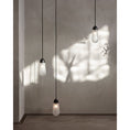 Bild in Galerie-Betrachter laden, Lariat Pendant Lamp