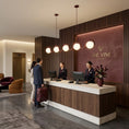 Load image into Gallery viewer, Lenox Linear Ball Pendant Lamp