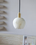 Load image into Gallery viewer, Lilin Pendant Light