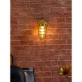 Load image into Gallery viewer, Lucid Dudley Wall Lamp