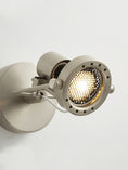 Bild in Galerie-Betrachter laden, Lucide Industrial Ceiling Lamp