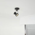 Bild in Galerie-Betrachter laden, Lucide Industrial Ceiling Lamp