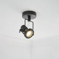 Bild in Galerie-Betrachter laden, Lucide Industrial Ceiling Lamp