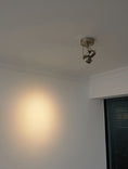 Bild in Galerie-Betrachter laden, Lucide Industrial Nickel Ceiling Lamp