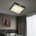Load image into Gallery viewer, Lucien Ceiling Light
