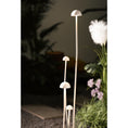 Load image into Gallery viewer, Luciole Outdoor Floor Lamp