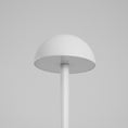 Load image into Gallery viewer, Luciole Outdoor Floor Lamp