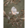 Load image into Gallery viewer, Magnolia Grandiflora Chandelier