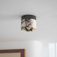 Load image into Gallery viewer, Marble Round Ceiling Lamp