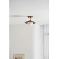 Charger l'image dans la visionneuse de la galerie, Marie Petite Surface Ceiling Lamp