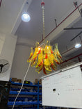Load image into Gallery viewer, Marielle Murano Chandelier
