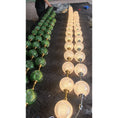 Charger l'image dans la visionneuse de la galerie, Marni Beaded Chandelier