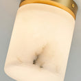 Load image into Gallery viewer, Melange Alabaster Ceiling Light