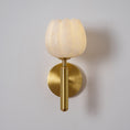Load image into Gallery viewer, Mian Wall Lamp
