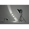 Load image into Gallery viewer, Micha Cat Table Lamp