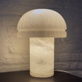Bild in Galerie-Betrachter laden, Dometra Alabaster Table Lamp