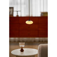 Charger l'image dans la visionneuse de la galerie, Moonstone Alabaster Pendant Lamp