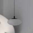 Charger l'image dans la visionneuse de la galerie, Moonstone Alabaster Pendant Lamp