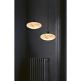 Charger l'image dans la visionneuse de la galerie, Moonstone Alabaster Pendant Lamp