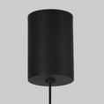 Charger l'image dans la visionneuse de la galerie, Moonstone Alabaster Pendant Lamp