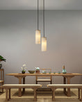 Load image into Gallery viewer, Nula Vertical Pendant Light