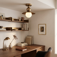 Bild in Galerie-Betrachter laden, Sasco Ceiling Lamp