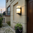 Load image into Gallery viewer, Mcdade Outdoor Wall Light