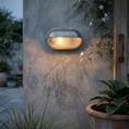 Load image into Gallery viewer, Nauticus Outdoor Wall Lamp