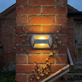 Load image into Gallery viewer, Marine Outdoor Sconce