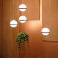 Load image into Gallery viewer, Palma Pendant Lamp