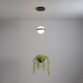 Load image into Gallery viewer, Palma Pendant Lamp