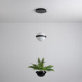 Load image into Gallery viewer, Palma Pendant Lamp