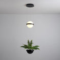 Load image into Gallery viewer, Palma Pendant Lamp