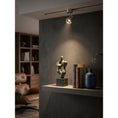 Load image into Gallery viewer, Palmoni LED Flush Mount