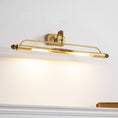 Load image into Gallery viewer, Pania Brass Wall Lamp