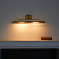 Load image into Gallery viewer, Pania Brass Wall Lamp