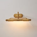 Load image into Gallery viewer, Pania Brass Wall Lamp