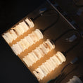 Load image into Gallery viewer, Payson Alabaster Wall Lamp