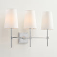 Bild in Galerie-Betrachter laden, Hillsdale Wall Lamp